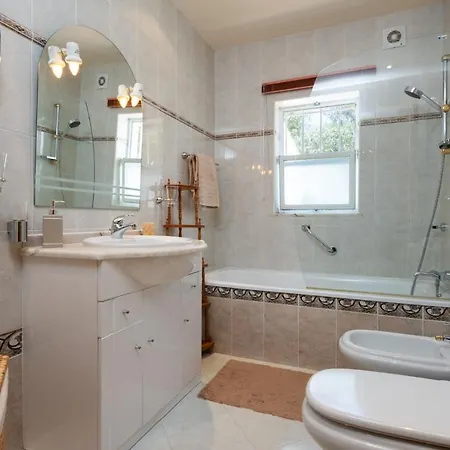 Domipajo קארבואירו