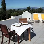 Domipajo
